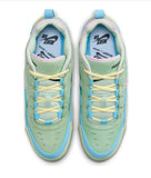 NIKE SB Air Max Ishod Verdy Shoe