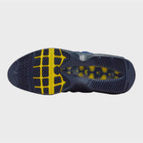 NIKE SB Air Max 95 Eric Koston Shoe